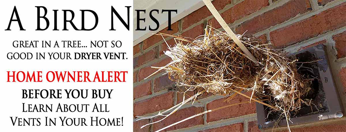 Bird's Nest Removal