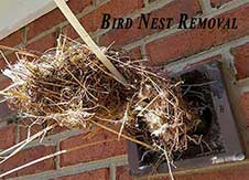 The Lint King and Best Dryer Vent Cleaning.